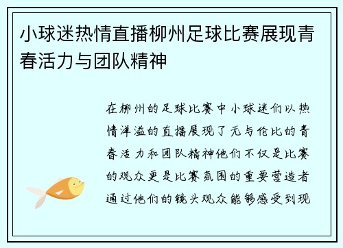 小球迷热情直播柳州足球比赛展现青春活力与团队精神